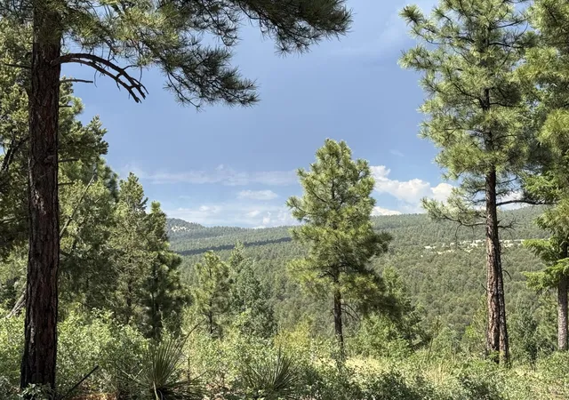 Photo 2 of Land for sale at 21 Los Nidos Ln, Pecos, NM 87552 | MLS# 1110611 | Listing updated on 2026-09-10