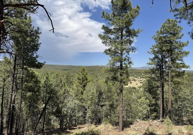 Photo 3 of Land for sale at 21 Los Nidos Ln, Pecos, NM 87552 | MLS# 1110611 | Listing updated on 2026-09-10