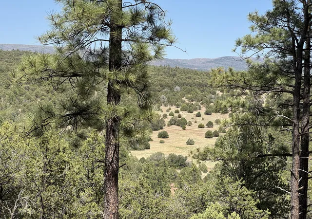 Photo 3 of Land for sale at 21 Los Nidos Ln, Pecos, NM 87552 | MLS# 1110611 | Listing updated on 2026-09-10