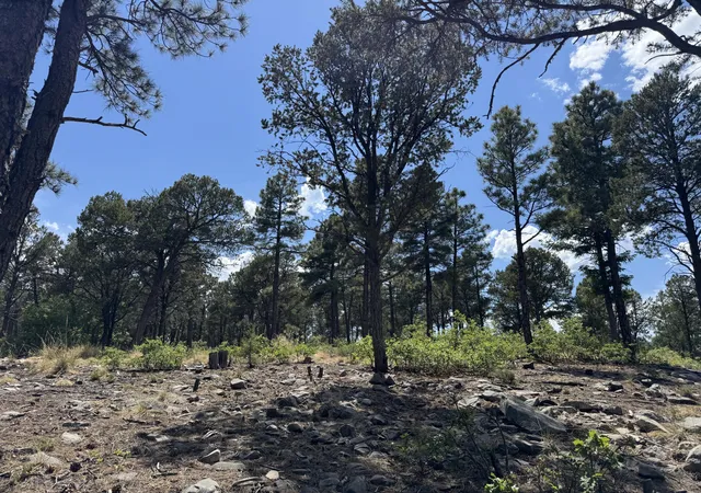Photo 6 of Land for sale at 21 Los Nidos Ln, Pecos, NM 87552 | MLS# 1110611 | Listing updated on 2026-09-10