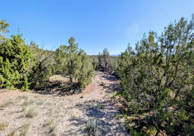 Photo 3 of Land for sale at 34 Tecolote Ct, Sandia Park, NM 87047 | MLS# 1110630 | Listing updated on 2026-09-10