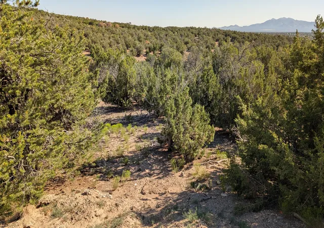 Photo 4 of Land for sale at 34 Tecolote Ct, Sandia Park, NM 87047 | MLS# 1110630 | Listing updated on 2026-09-10