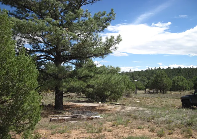 Photo 1 of Sale Pending at 403 Juan Tomas Rd, Tijeras, NM 87059 | MLS# 1110728 | Listing updated on 2026-10-28