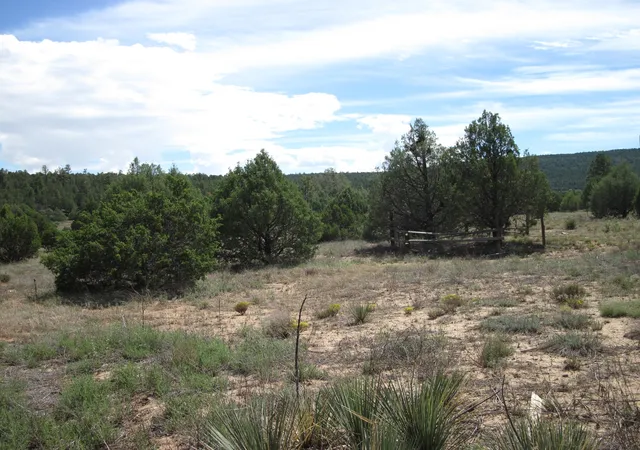 Photo 3 of Sale Pending at 403 Juan Tomas Rd, Tijeras, NM 87059 | MLS# 1110728 | Listing updated on 2026-10-28