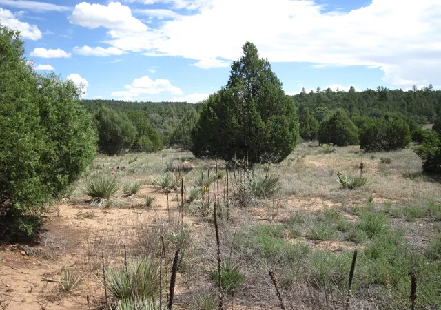 Photo 4 of Sale Pending at 403 Juan Tomas Rd, Tijeras, NM 87059 | MLS# 1110728 | Listing updated on 2026-10-28