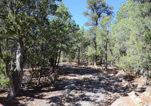 Photo 1 of Land for sale at 109 Via Sedillo Rd, Tijeras, NM 87059 | MLS# 1110772 | Listing updated on 2026-09-10