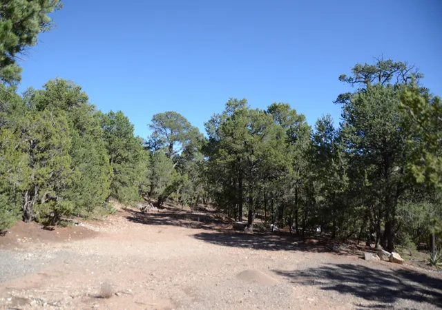 Photo 3 of Land for sale at 109 Via Sedillo Rd, Tijeras, NM 87059 | MLS# 1110772 | Listing updated on 2026-09-10