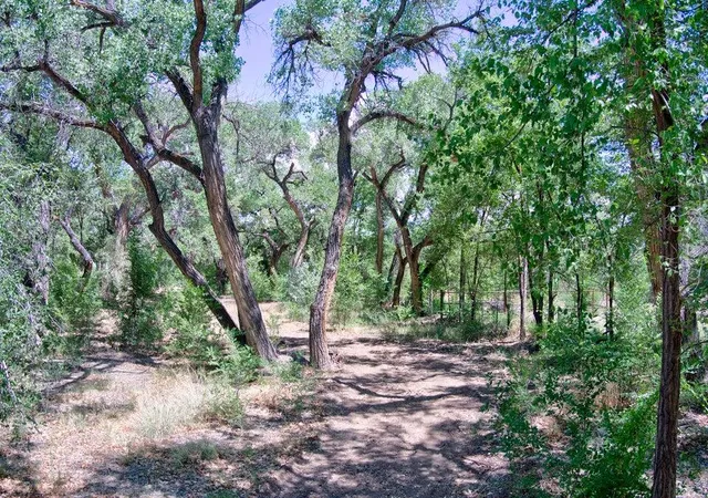 Photo 2 of Land for sale at Bosque Oculto B1 C, Corrales, NM 87048 | MLS# 1110843 | Listing updated on 2026-09-22