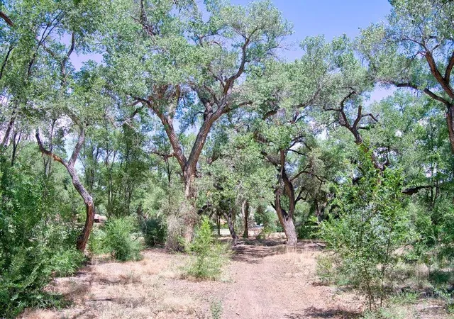 Photo 3 of Land for sale at Bosque Oculto B1 C, Corrales, NM 87048 | MLS# 1110843 | Listing updated on 2026-09-11