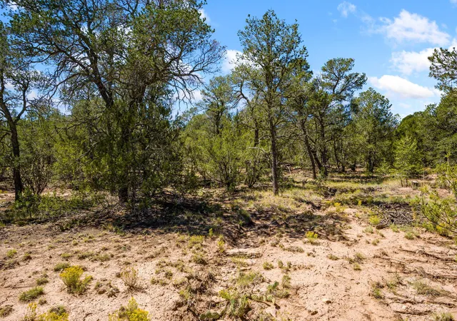 Photo 4 of Land for sale at 7 Oakmont Ridge Rd, Sandia Park, NM 87047 | MLS# 1110926 | Listing updated on 2026-09-14