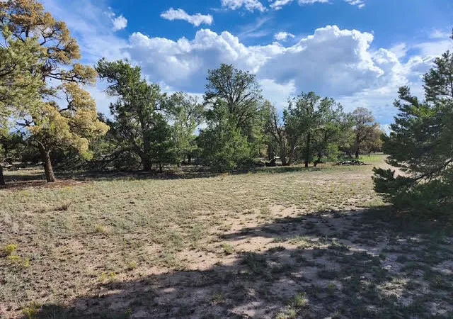 Photo 3 of Land for sale at 15 Cattle Trak Dr, Quemado, NM 87829 | MLS# 1111007 | Listing updated on 2026-09-15