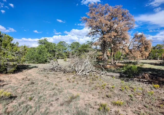 Photo 3 of Land for sale at 15 Cattle Trak Dr, Quemado, NM 87829 | MLS# 1111007 | Listing updated on 2026-09-15