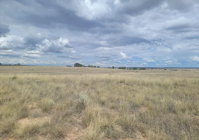 Photo 2 of Land for sale at (Undisclosed), Moriarty, NM 87035 | MLS# 1111020 | Listing updated on 2026-09-15