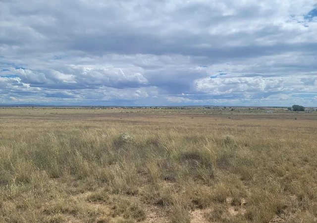 Photo 2 of Land for sale at (Undisclosed), Moriarty, NM 87035 | MLS# 1111074 | Listing updated on 2026-09-16