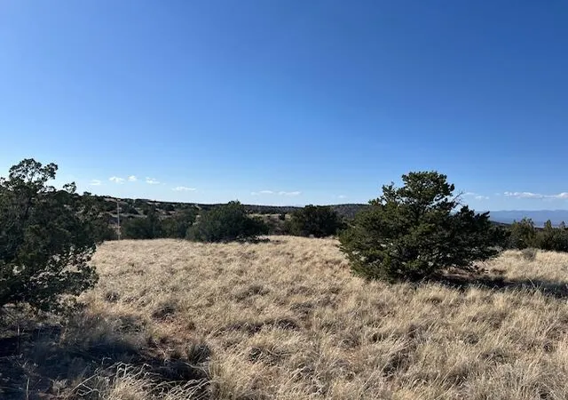 Photo 2 of Land for sale at 237 Meadows Rd, Placitas, NM 87043 | MLS# 1111081 | Listing updated on 2026-09-18