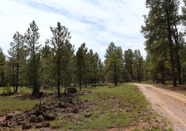 Photo 1 of Land for sale at Lot 44 Rhyolite Rd, Grants, NM 87020 | MLS# 1111279 | Listing updated on 2026-09-21