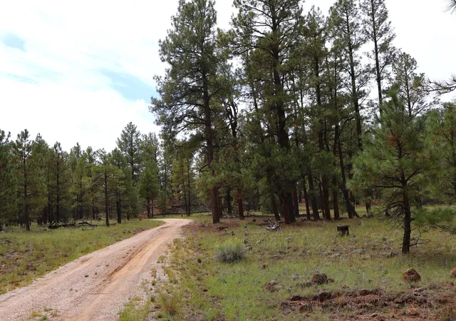 Photo 3 of Land for sale at Lot 44 Rhyolite Rd, Grants, NM 87020 | MLS# 1111279 | Listing updated on 2026-09-21