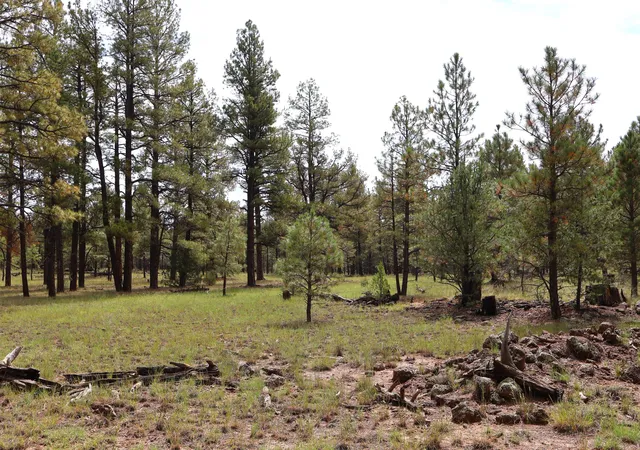 Photo 3 of Land for sale at Lot 44 Rhyolite Rd, Grants, NM 87020 | MLS# 1111279 | Listing updated on 2026-09-21