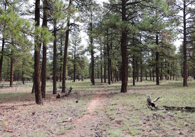 Photo 4 of Land for sale at Lot 44 Rhyolite Rd, Grants, NM 87020 | MLS# 1111279 | Listing updated on 2026-09-21