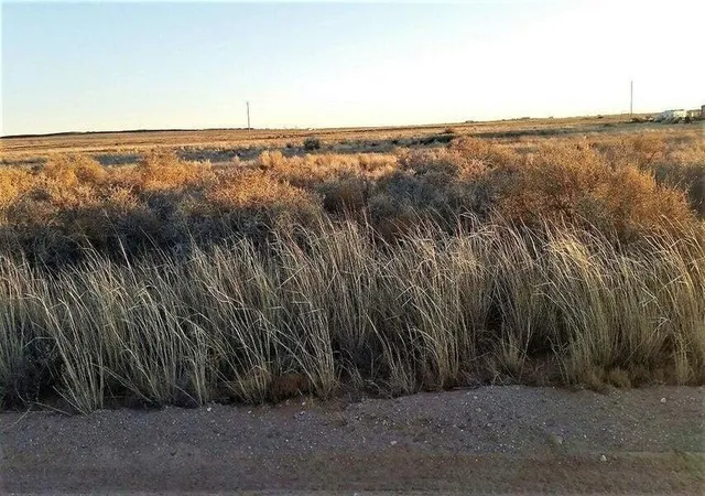 Land for sale at Windward Lot 43 Dr, Moriarty, NM 87035 | MLS# 1111354