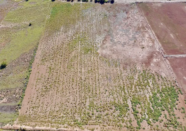 Photo 1 of Land for sale at Armijo Rd, Belen, NM 87002 | MLS# 1111407 | Listing updated on 2026-09-23