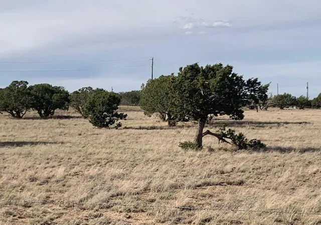 Photo 1 of Land for sale at 10 Moonlight Meadows, Edgewood, NM 87015 | MLS# 1111450 | Listing updated on 2026-09-24