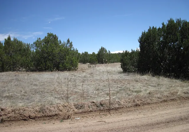 Land for sale at 110 Jesse James Rd, Edgewood, NM 87015 | MLS# 1111462