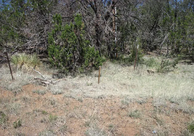 Photo 4 of Land for sale at 110 Jesse James Rd, Edgewood, NM 87015 | MLS# 1111462 | Listing updated on 2026-09-24