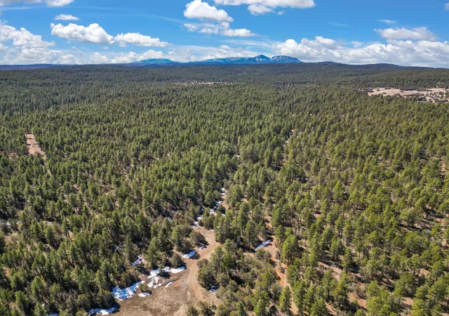 Photo 2 of Land for sale at 0 Raquel Rd, Tijeras, NM 87059 | MLS# 1111479 | Listing updated on 2026-09-25