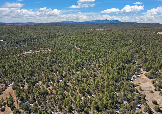 Photo 4 of Land for sale at 0 Raquel Rd, Tijeras, NM 87059 | MLS# 1111479 | Listing updated on 2026-09-25