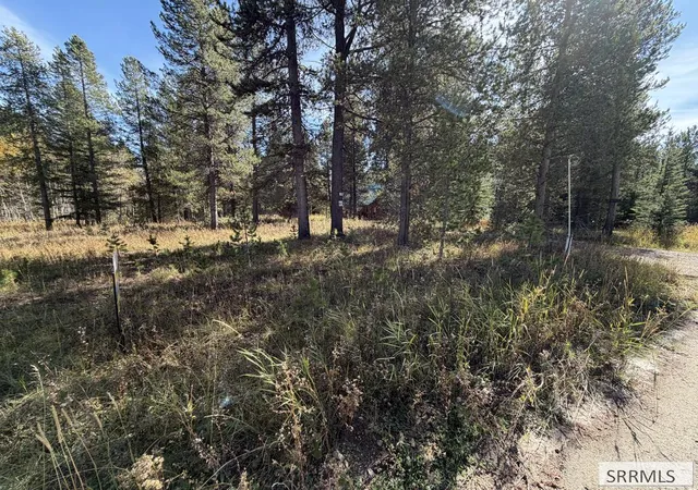 Land for sale at Tbd Beaver Dr, Island Park, ID 83429 | MLS# 2189605