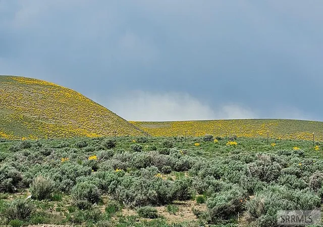 Land for sale at 1981 Blizzard Mountain Rd, Arco, ID 83213 | MLS# 2189193