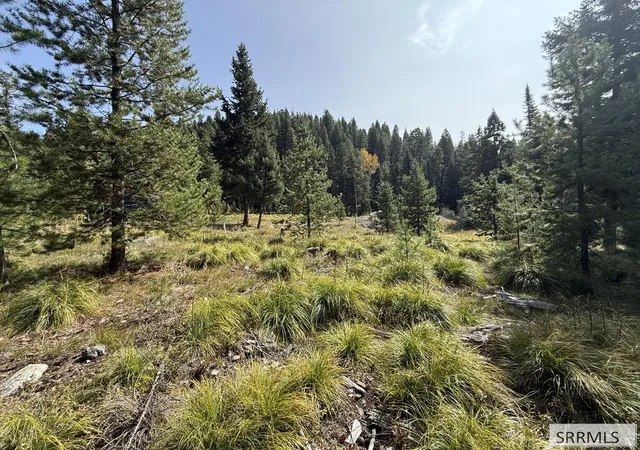 Photo 3 of Land for sale at Lot 7 Kokopelli Dr, Gibbsonville, ID 83463 | MLS# 2189187 | Listing updated on 2026-09-13