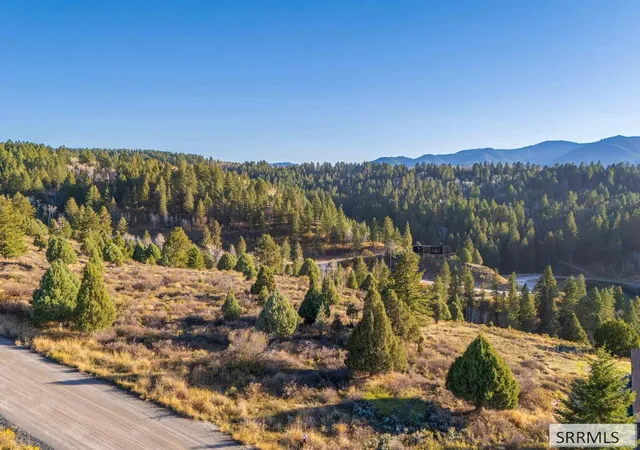 Photo 1 of Land for sale at Lot 64 Cutthroat Run, Irwin, ID 83428 | MLS# 2189826 | Listing updated on 2026-10-14