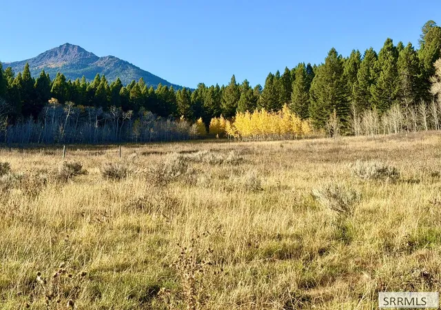 Land for sale at 3564 Rock Crk Ln, Island Park, ID 83429 | MLS# 2189585