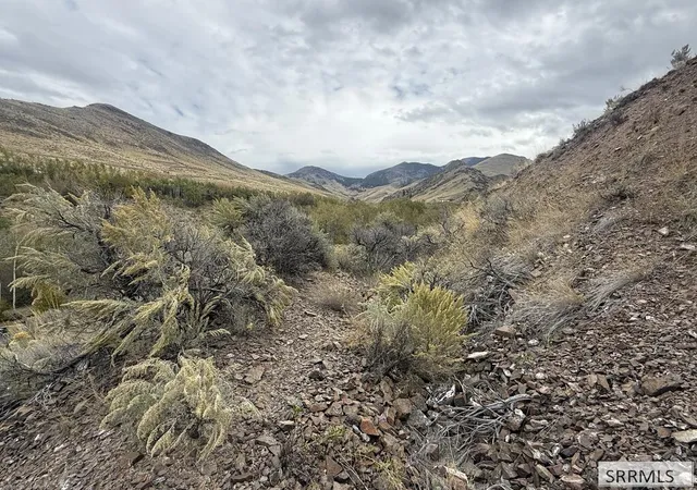 Photo 3 of Land for sale at Lot 63&64 Burden Rd, Salmon, ID 83467 | MLS# 2189520 | Listing updated on 2026-10-20