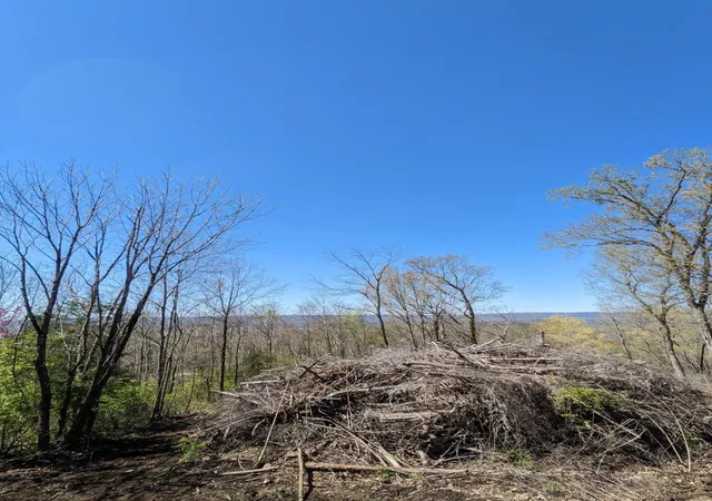 Photo 16 of Land for sale at 4825 Gann Store Rd, Hixson, TN 37343 | MLS# 1536576 | Listing updated on 2026-09-09