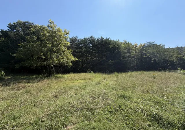 Photo 3 of Sale Pending at 1217 Durham Rd, Rising Fawn, GA 30738 | MLS# 1542396 | Listing updated on 2026-09-09