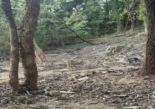 Photo 1 of Land for sale at 000 Wert St, Chattanooga, TN 37405 | MLS# 1538753 | Listing updated on 2026-09-30