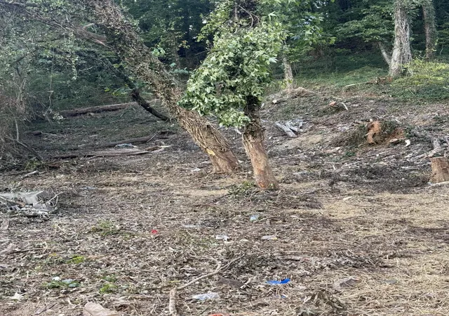 Photo 3 of Land for sale at 000 Wert St, Chattanooga, TN 37405 | MLS# 1538753 | Listing updated on 2026-09-30