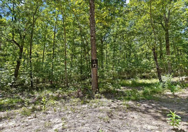Photo 2 of Land for sale at 1537 Vulcan Rd #17, Rising Fawn, GA 30738 | MLS# 1541939 | Listing updated on 2026-09-02