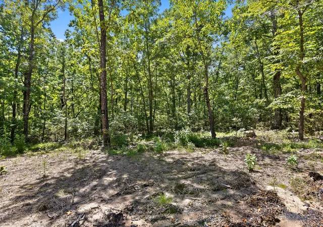 Photo 3 of Land for sale at 1537 Vulcan Rd #17, Rising Fawn, GA 30738 | MLS# 1541939 | Listing updated on 2026-09-02