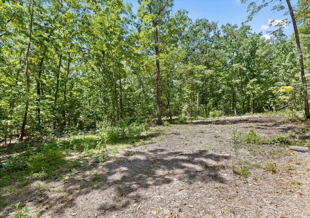 Photo 3 of Land for sale at 1537 Vulcan Rd #17, Rising Fawn, GA 30738 | MLS# 1541939 | Listing updated on 2026-09-02
