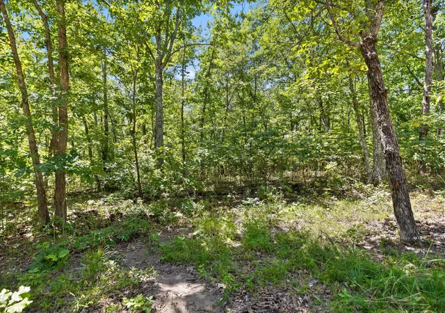 Photo 4 of Land for sale at 1537 Vulcan Rd #17, Rising Fawn, GA 30738 | MLS# 1541939 | Listing updated on 2026-09-02