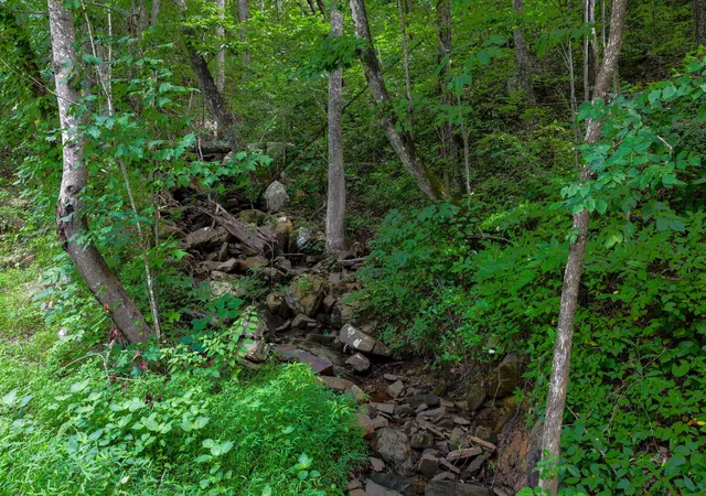 Photo 1 of Land for sale at 0 Lee Sta Mountain Rd, Pikeville, TN 37367 | MLS# 1543652 | Listing updated on 2026-10-05