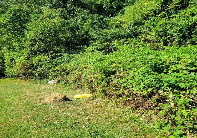 Photo 4 of Sale Pending at 3109 07th Avenue, Chattanooga, TN 37407 | MLS# 1542035 | Listing updated on 2026-09-04