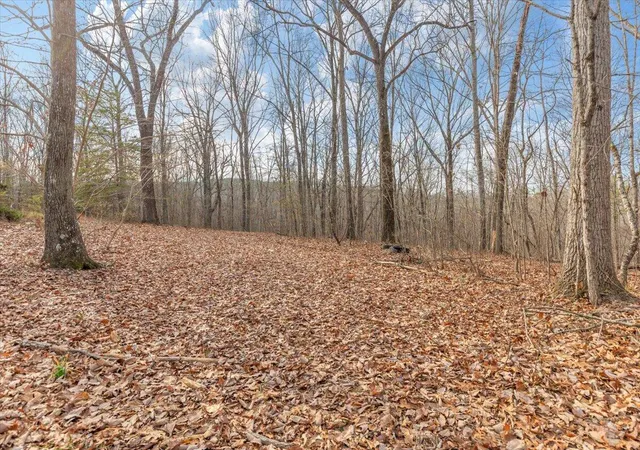 Land for sale at 13 Ac Percheron Dr, Dalton, GA 30720 | MLS# 1541889