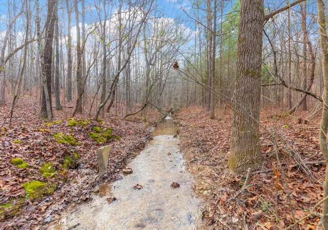 Photo 2 of Land for sale at 13 Ac Percheron Dr, Dalton, GA 30720 | MLS# 1541889 | Listing updated on 2026-09-01