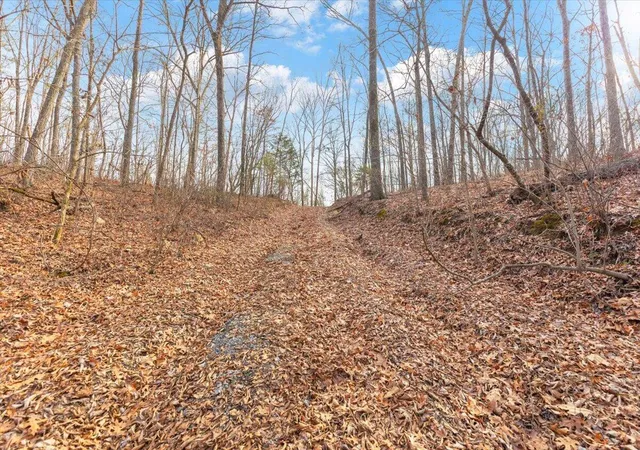 Photo 3 of Land for sale at 13 Ac Percheron Dr, Dalton, GA 30720 | MLS# 1541889 | Listing updated on 2026-09-01