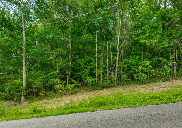 Photo 3 of Land for sale at 1005 Tanya Dr, Whitwell, TN 37397 | MLS# 1542385 | Listing updated on 2026-09-08